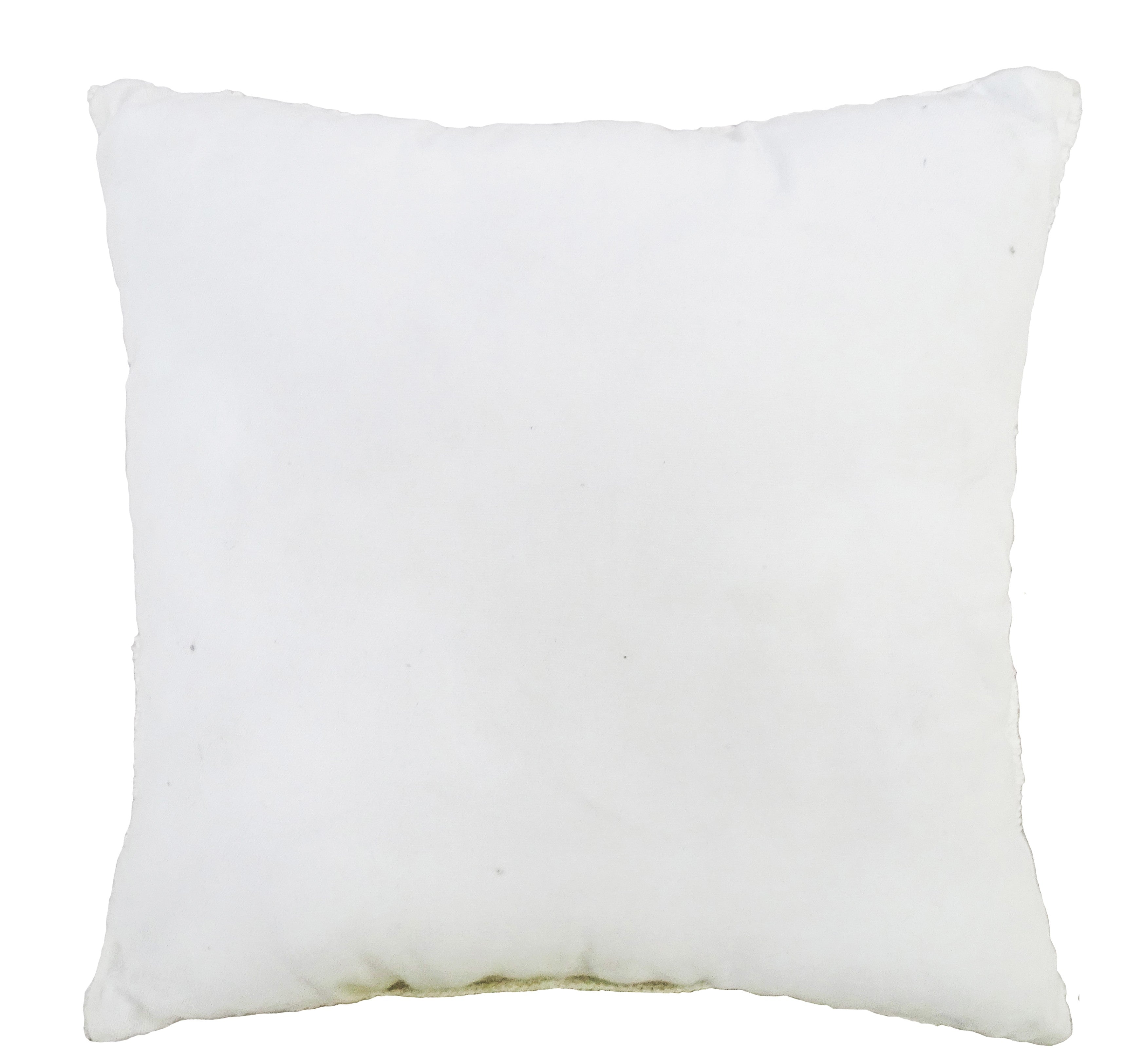 Desert Haven Accent Pillow