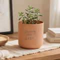 Honesty Pot Terracotta